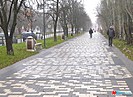 Благоустройство парковой зоны проспекта Металлургов стартовало в Волгограде